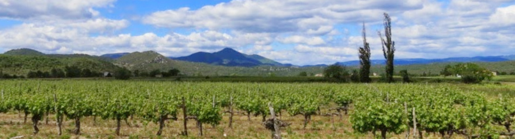 Activités, sports et culture en Ardèche